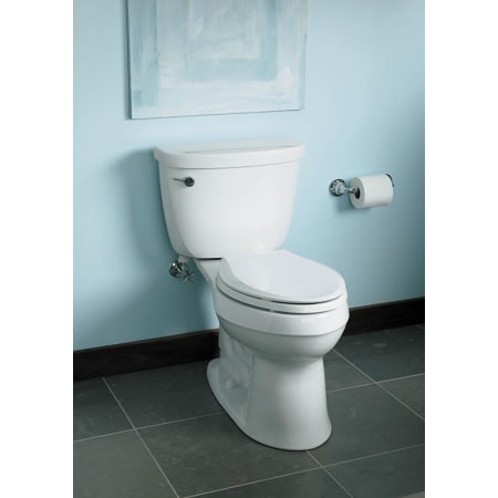 A large image of the Kohler K-3496 Kohler K-3496