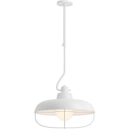 A large image of the Kohler Lighting 23664-PE01 23664-PE01 in White