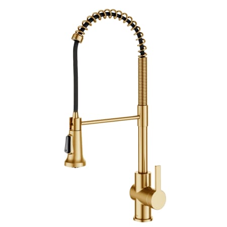 A large image of the Kraus KPF-1691 Brushed Brass
