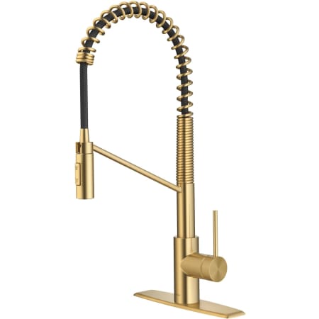 A large image of the Kraus KPF-2631 Brushed Brass