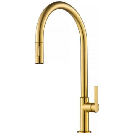 A large image of the Kraus KPF-2821 Brushed Brass