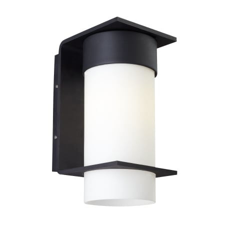 A large image of the LBL Lighting Palm Lane Small Outdoor 18W 277V Black