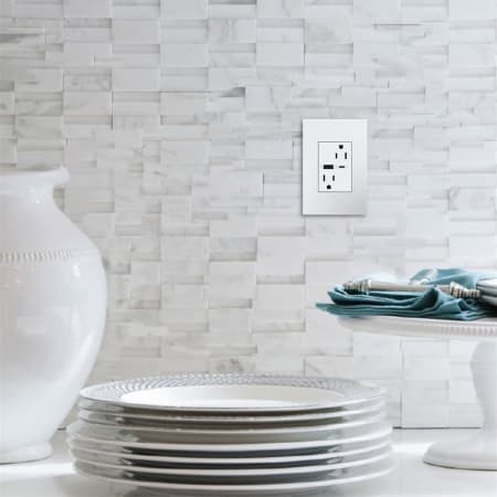 A large image of the Legrand ARTRUSB156AC Alternate Image