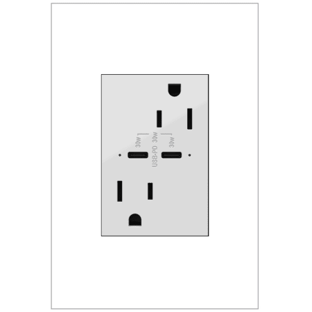 A large image of the Legrand ARTRUSB15PD304 White