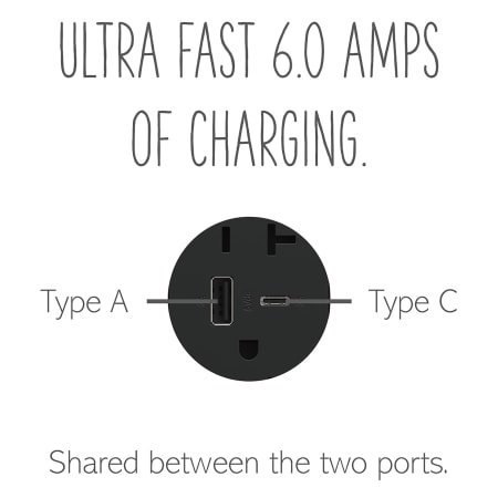 A large image of the Legrand ARTRUSB206AC Alternate Image