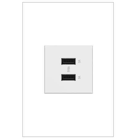 A large image of the Legrand ARUSB2AA6 White