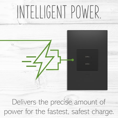 A large image of the Legrand ARUSB30PD4 Alternate Image