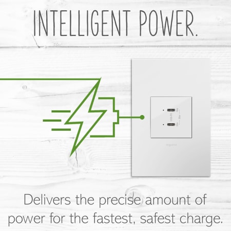 A large image of the Legrand ARUSB30PD4 Alternate Image