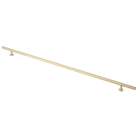 A large image of the Lews Hardware 24-20RB Brushed Brass