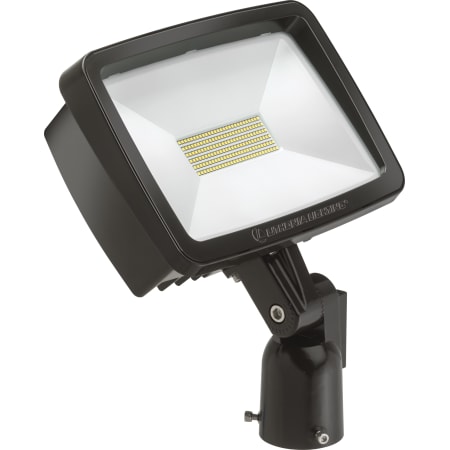 A large image of the Lithonia Lighting TFX2 LED MVOLT IS XD Bronze / 4000K