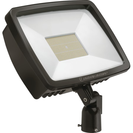 A large image of the Lithonia Lighting TFX4 LED MVOLT IS XD Bronze / 4000K