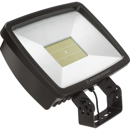 A large image of the Lithonia Lighting TFX4 LED MVOLT YK XD Bronze / 4000K