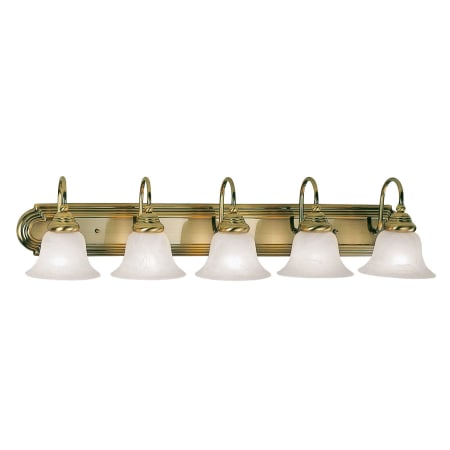 A large image of the Livex Lighting 1005 Antique Brass