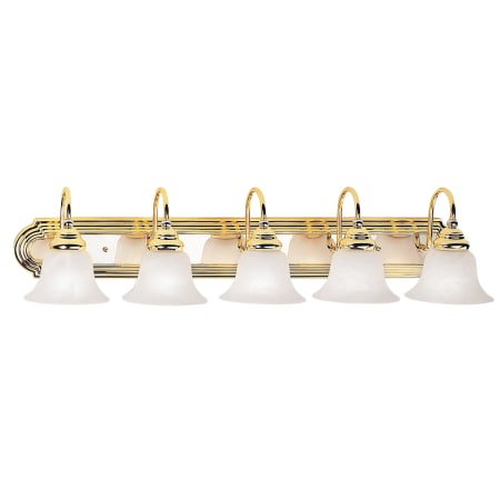 A large image of the Livex Lighting 1005 Polished Brass/Chrome