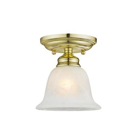 A large image of the Livex Lighting 1350 Polished Brass