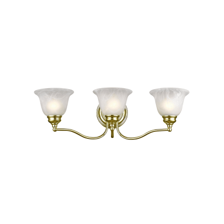 A large image of the Livex Lighting 1353 Polished Brass