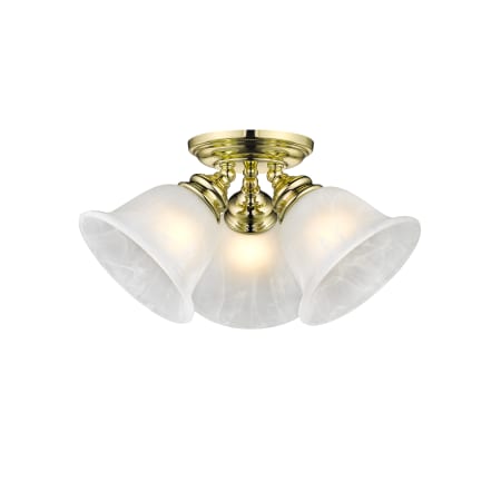 A large image of the Livex Lighting 1358 Polished Brass