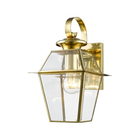 A large image of the Livex Lighting 2181 Polished Brass Gallery Image