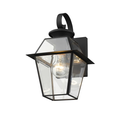 A large image of the Livex Lighting 2181 Black Gallery Image 3