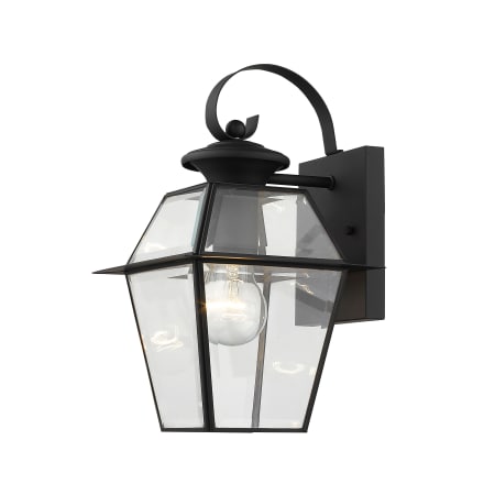 A large image of the Livex Lighting 2181 Black Gallery Image 4