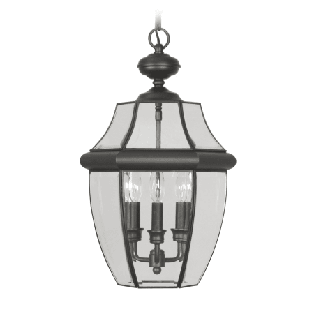 A large image of the Livex Lighting 2355 Black