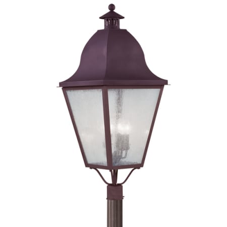 A large image of the Livex Lighting 2554 Bronze