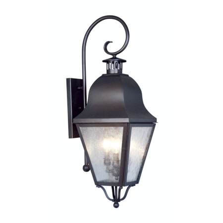 A large image of the Livex Lighting 2555 Bronze