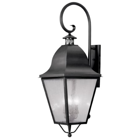 A large image of the Livex Lighting 2559 Black