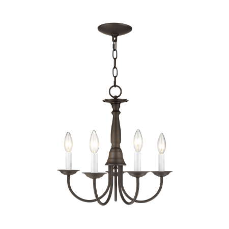 A large image of the Livex Lighting 6030 Bronze