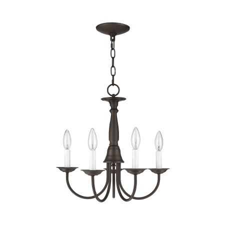 A large image of the Livex Lighting 6030 Bronze Gallery Image 3