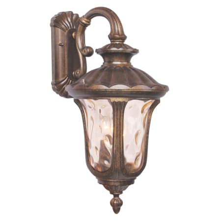 A large image of the Livex Lighting 7657 Moroccan Gold