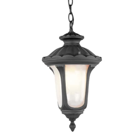 A large image of the Livex Lighting 7658 Black