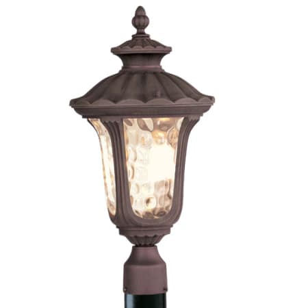 A large image of the Livex Lighting 7659 Imperial Bronze
