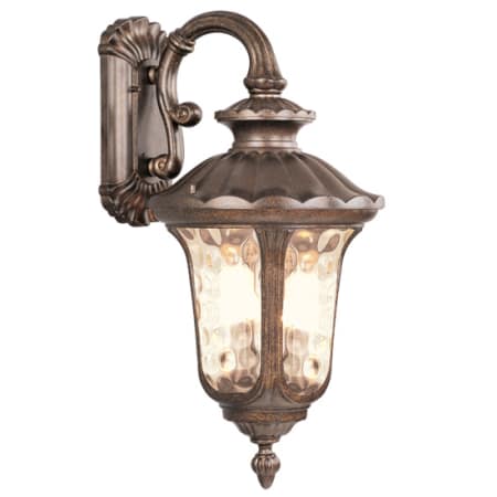 A large image of the Livex Lighting 7663 Moroccan Gold