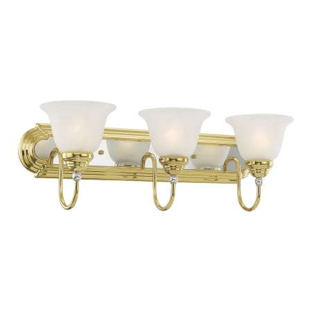A large image of the Livex Lighting 1003 Polished Brass/Chrome