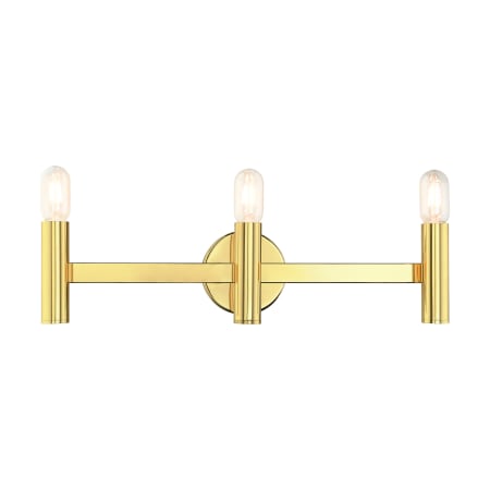 A large image of the Livex Lighting 10343 Polished Brass