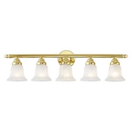 A large image of the Livex Lighting 1065 Polished Brass