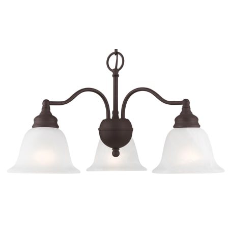 A large image of the Livex Lighting 1343 Bronze