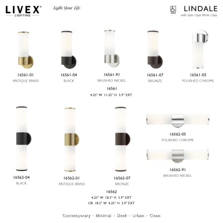 A large image of the Livex Lighting 16562 Alternate Image
