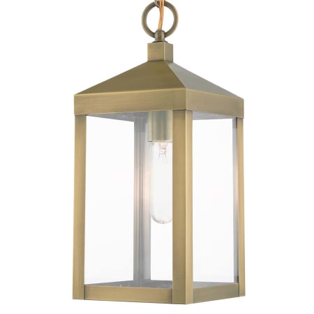 A large image of the Livex Lighting 20591 Antique Brass