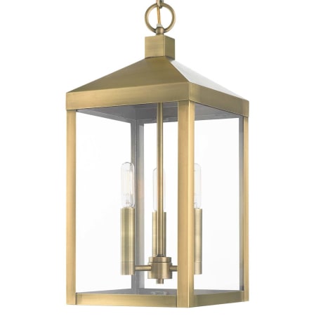 A large image of the Livex Lighting 20593 Antique Brass