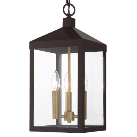 A large image of the Livex Lighting 20593 Bronze with Antique Brass Cluster