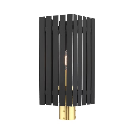 A large image of the Livex Lighting 20756 Black with Satin Brass Accents