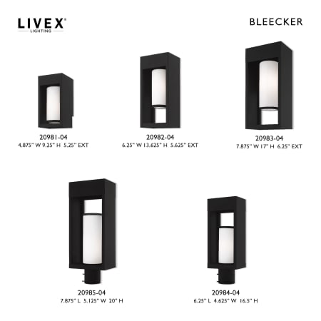 A large image of the Livex Lighting 20984 Alternate Image