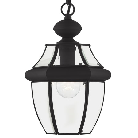 A large image of the Livex Lighting 2152 Black