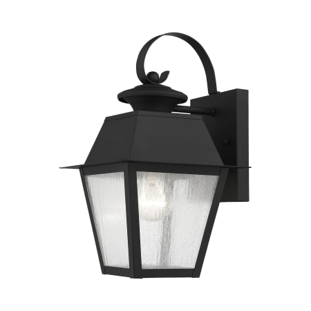 A large image of the Livex Lighting 2162 Black
