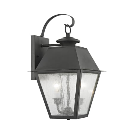 A large image of the Livex Lighting 2165 Charcoal