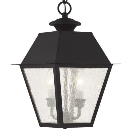 A large image of the Livex Lighting 2167 Black