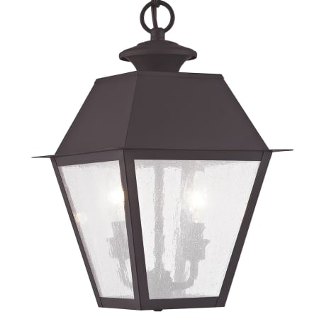 A large image of the Livex Lighting 2167 Bronze