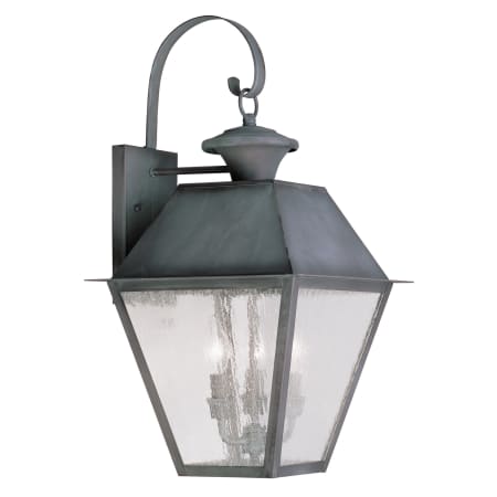 A large image of the Livex Lighting 2168 Charcoal